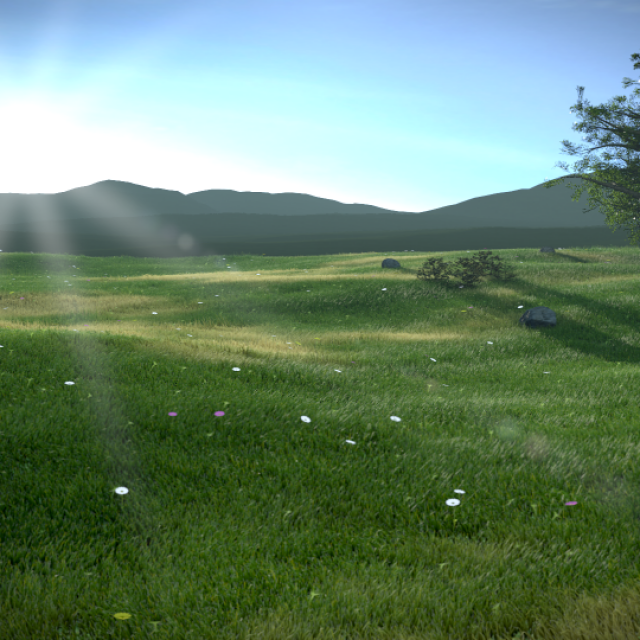 grass-finished-scene